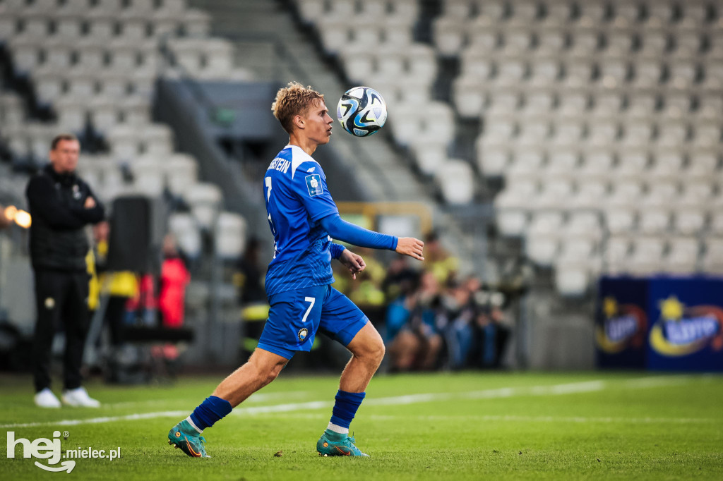 Puszcza Niepołomice - PGE FKS Stal Mielec