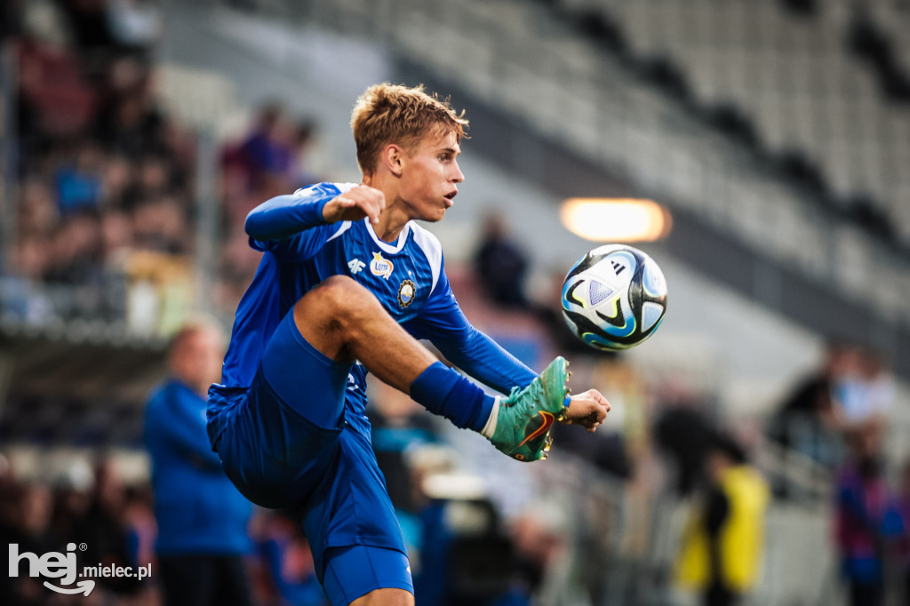 Puszcza Niepołomice - PGE FKS Stal Mielec