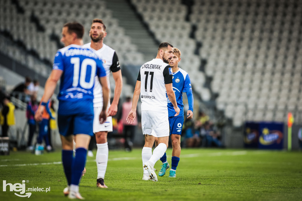 Puszcza Niepołomice - PGE FKS Stal Mielec