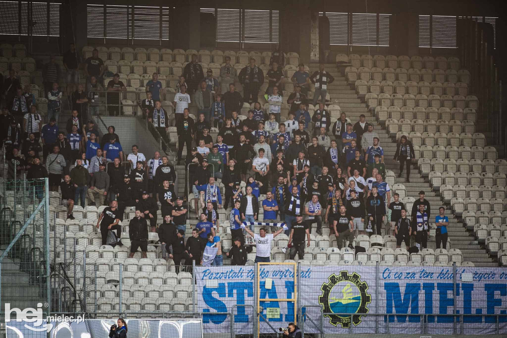 Puszcza Niepołomice - PGE FKS Stal Mielec