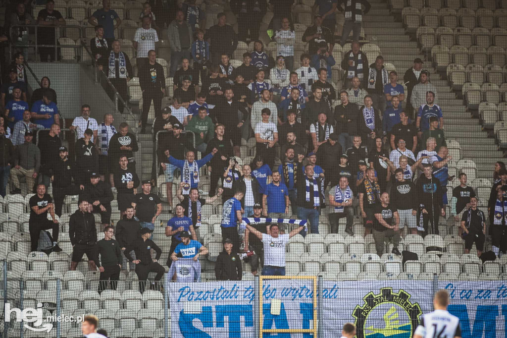 Puszcza Niepołomice - PGE FKS Stal Mielec