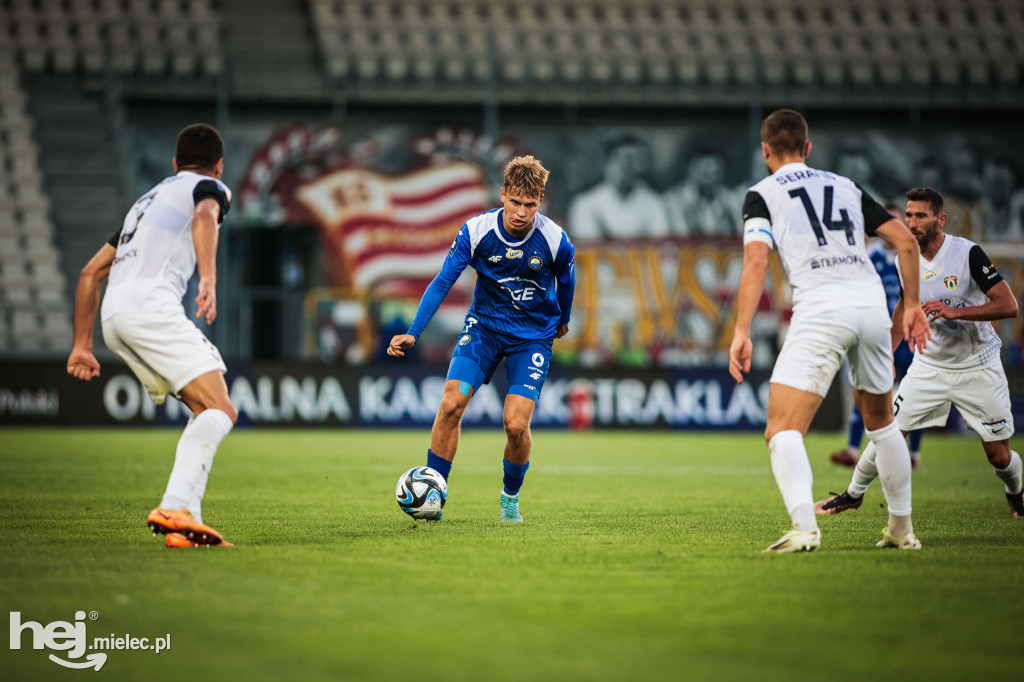 Puszcza Niepołomice - PGE FKS Stal Mielec