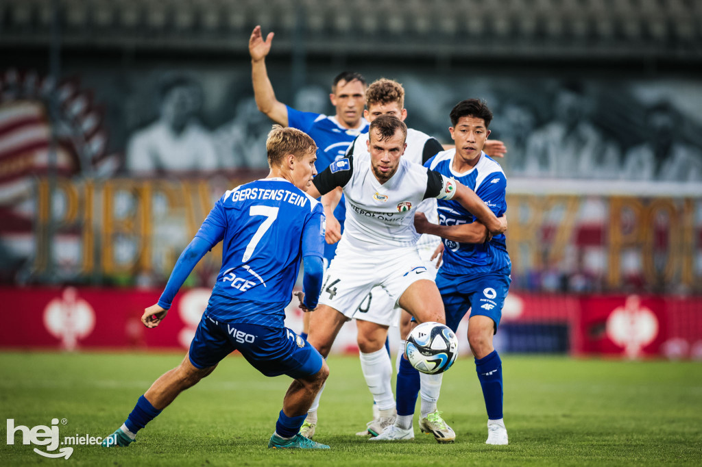 Puszcza Niepołomice - PGE FKS Stal Mielec