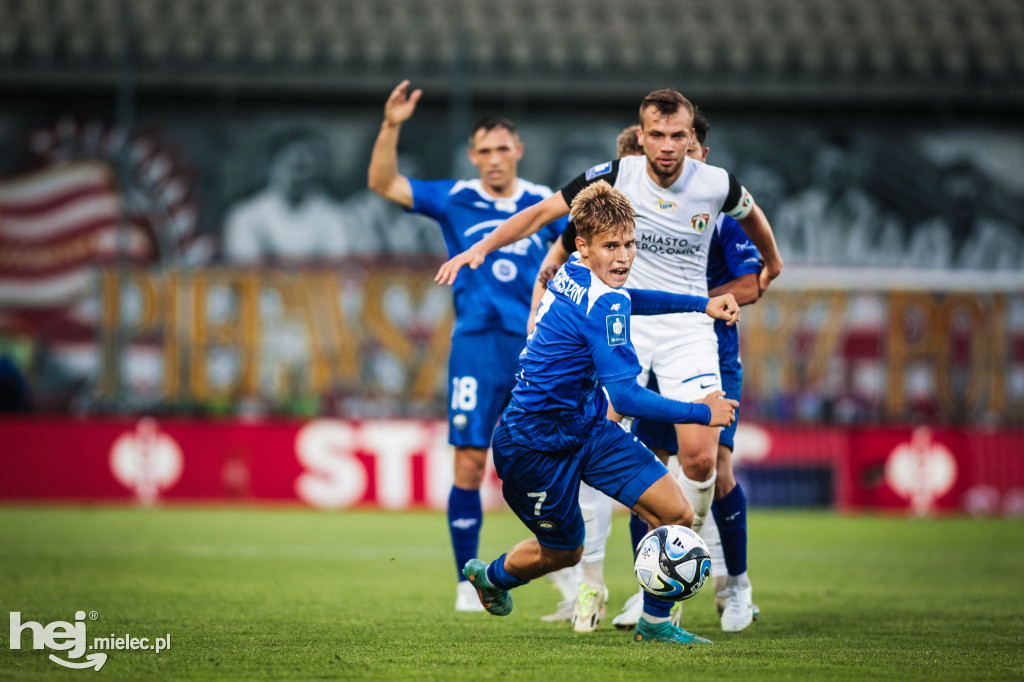 Puszcza Niepołomice - PGE FKS Stal Mielec