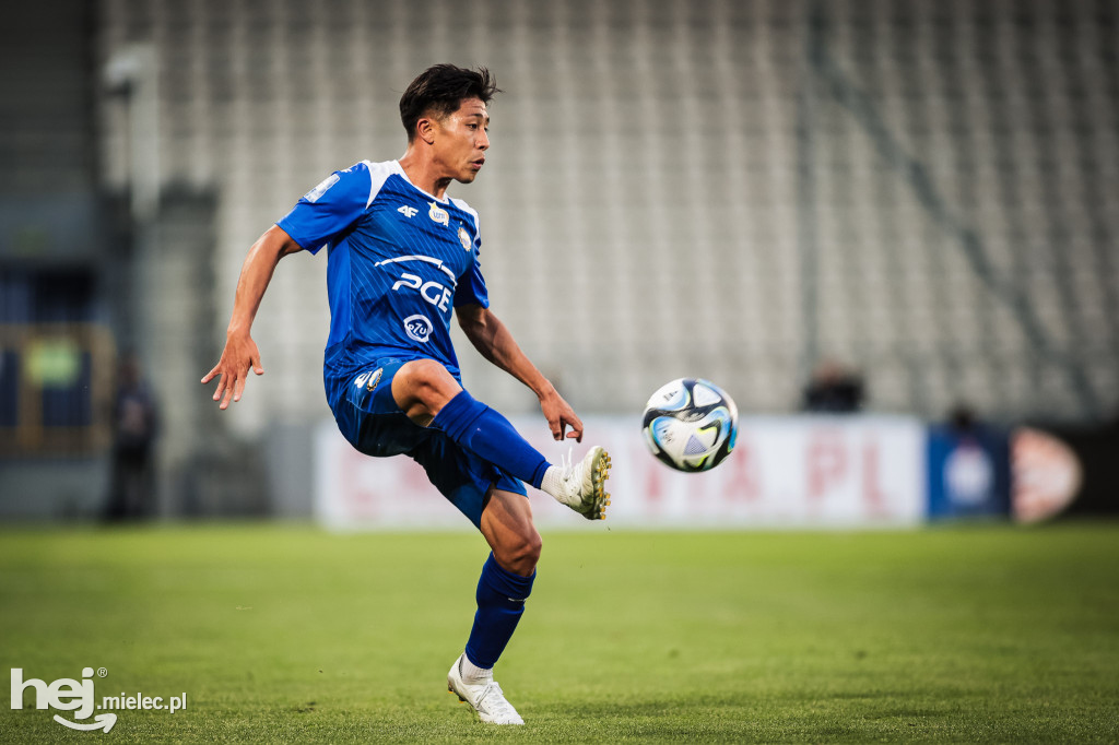 Puszcza Niepołomice - PGE FKS Stal Mielec