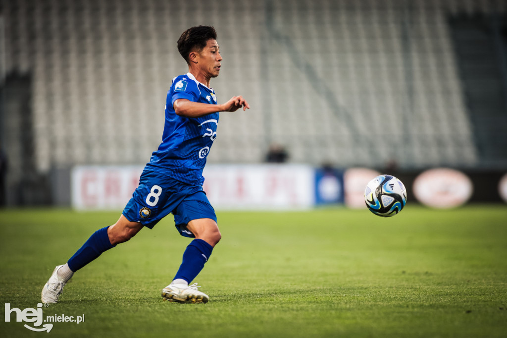 Puszcza Niepołomice - PGE FKS Stal Mielec