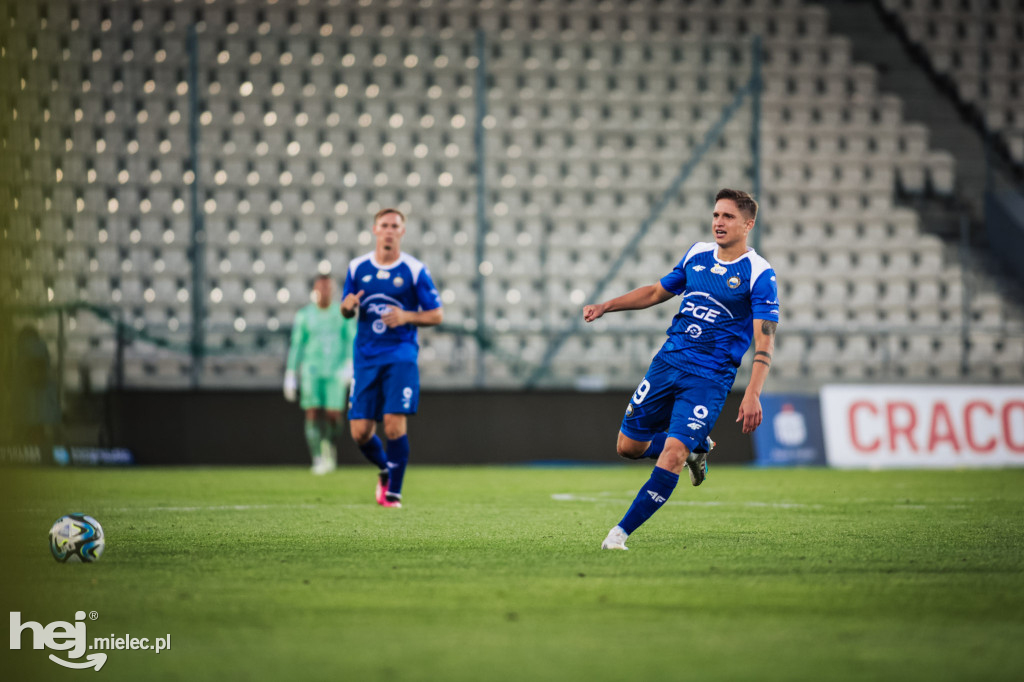 Puszcza Niepołomice - PGE FKS Stal Mielec