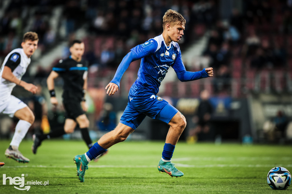 Puszcza Niepołomice - PGE FKS Stal Mielec