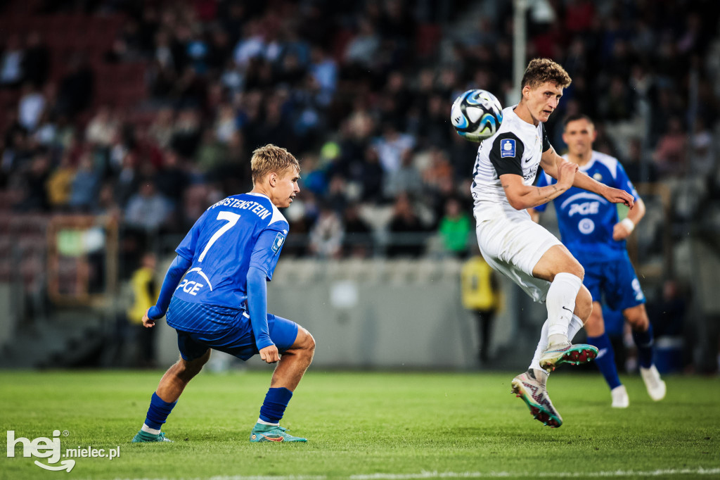 Puszcza Niepołomice - PGE FKS Stal Mielec