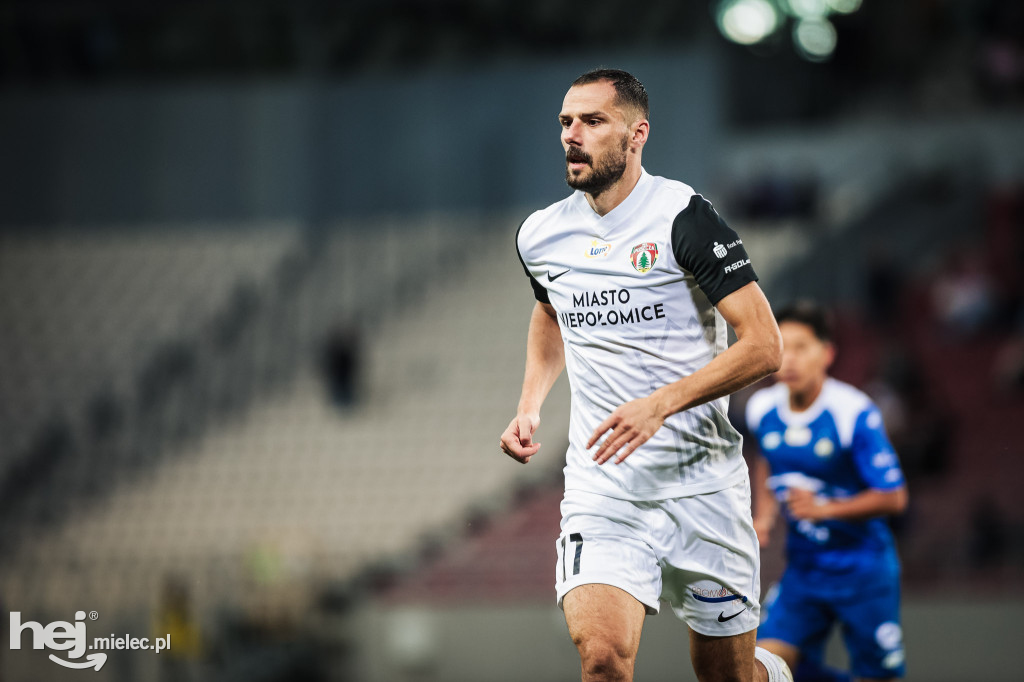Puszcza Niepołomice - PGE FKS Stal Mielec