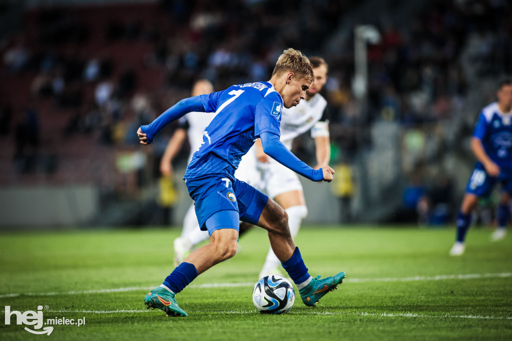 Puszcza Niepołomice - PGE FKS Stal Mielec