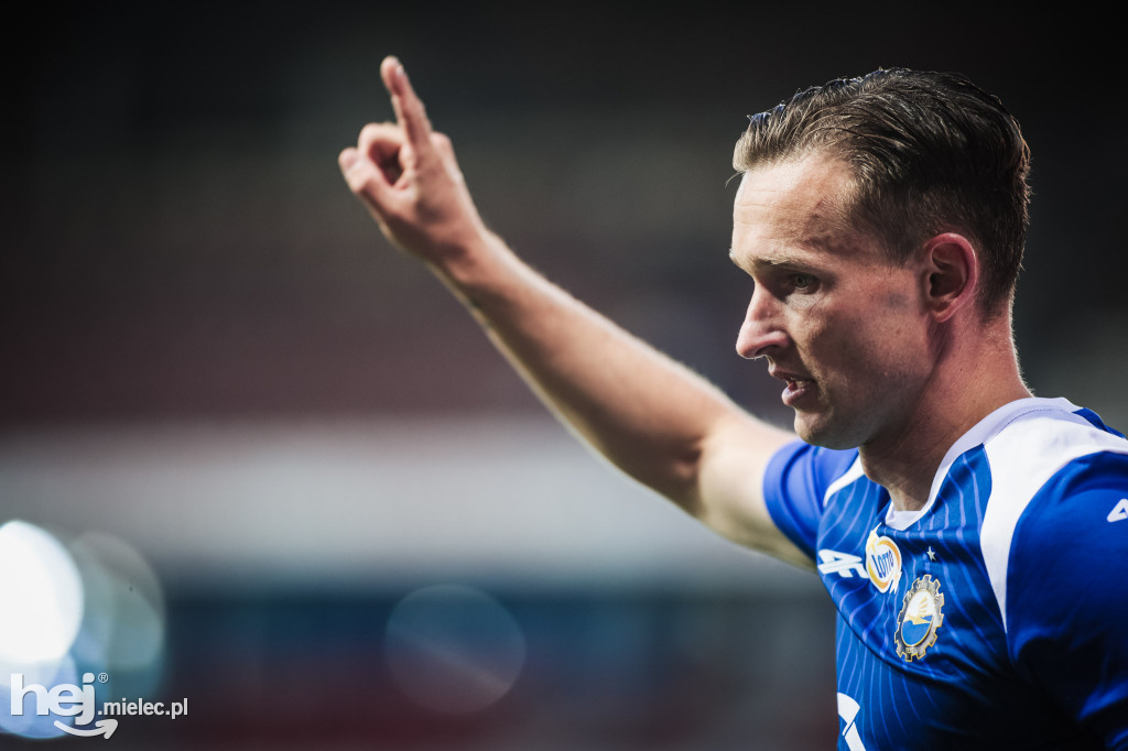 Puszcza Niepołomice - PGE FKS Stal Mielec