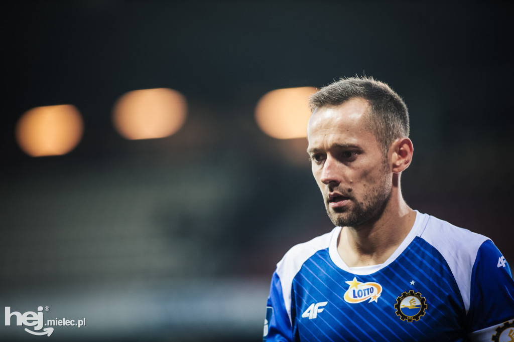 Puszcza Niepołomice - PGE FKS Stal Mielec