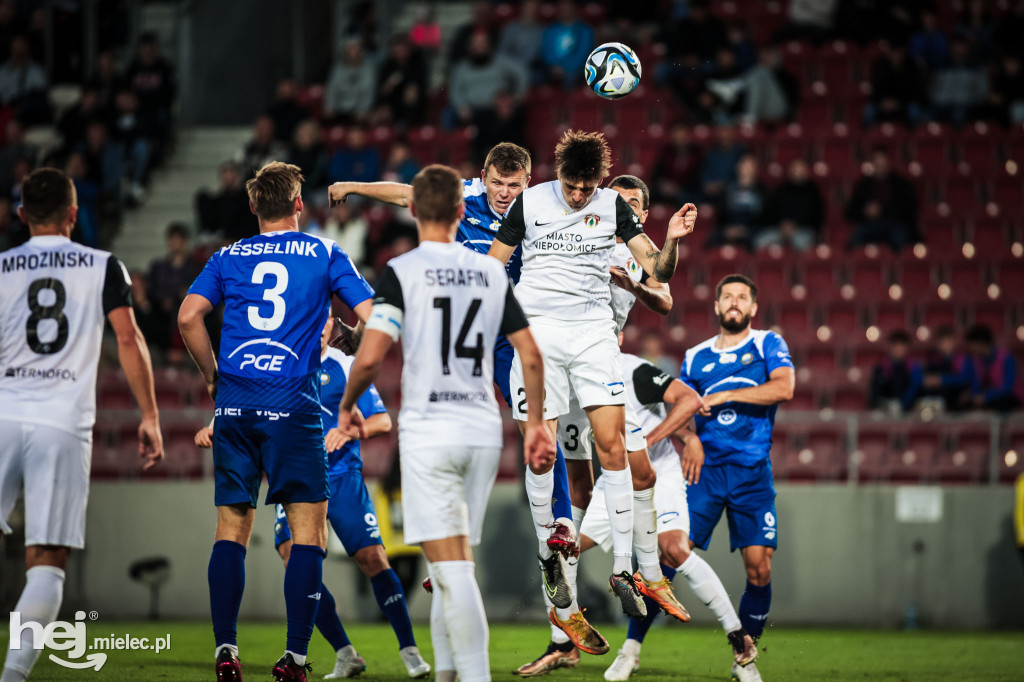 Puszcza Niepołomice - PGE FKS Stal Mielec