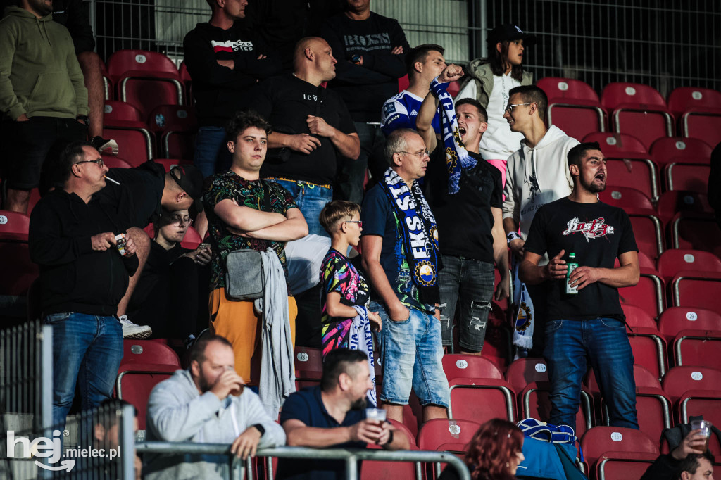 Puszcza Niepołomice - PGE FKS Stal Mielec