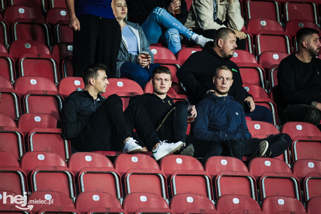 Puszcza Niepołomice - PGE FKS Stal Mielec