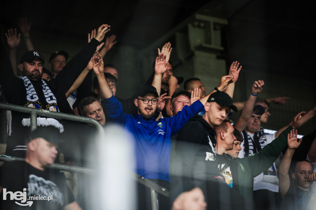 Puszcza Niepołomice - PGE FKS Stal Mielec