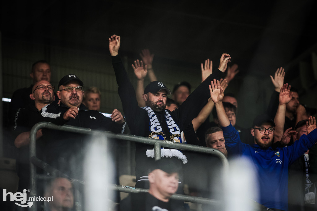 Puszcza Niepołomice - PGE FKS Stal Mielec