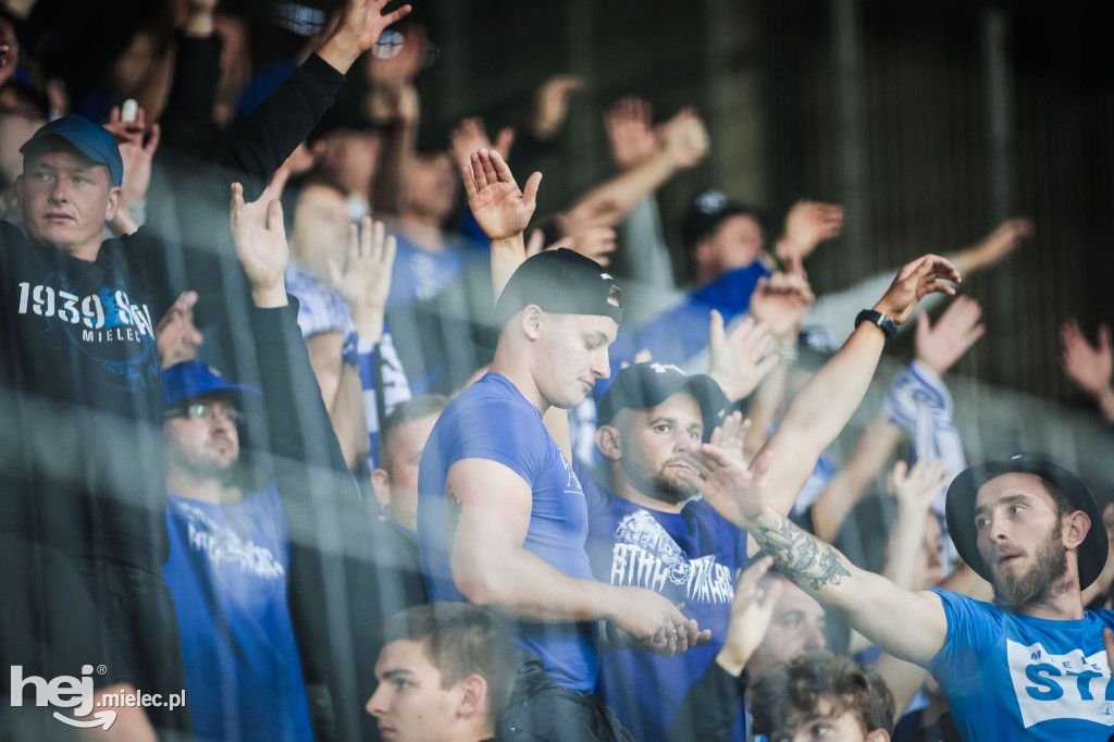 Puszcza Niepołomice - PGE FKS Stal Mielec