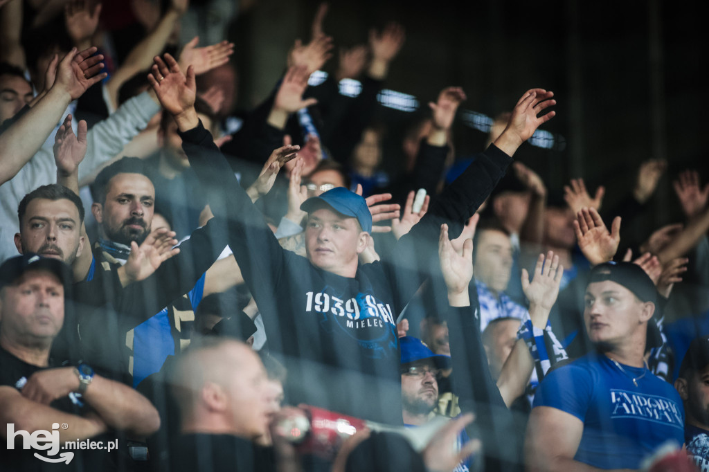 Puszcza Niepołomice - PGE FKS Stal Mielec