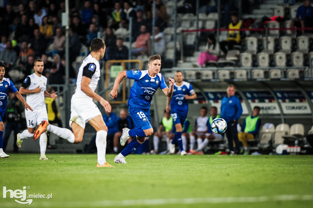 Puszcza Niepołomice - PGE FKS Stal Mielec
