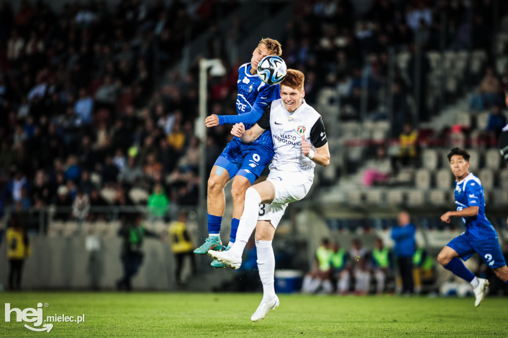 Puszcza Niepołomice - PGE FKS Stal Mielec