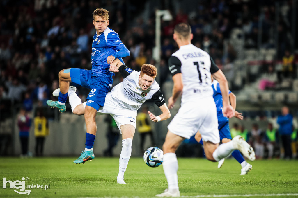Puszcza Niepołomice - PGE FKS Stal Mielec