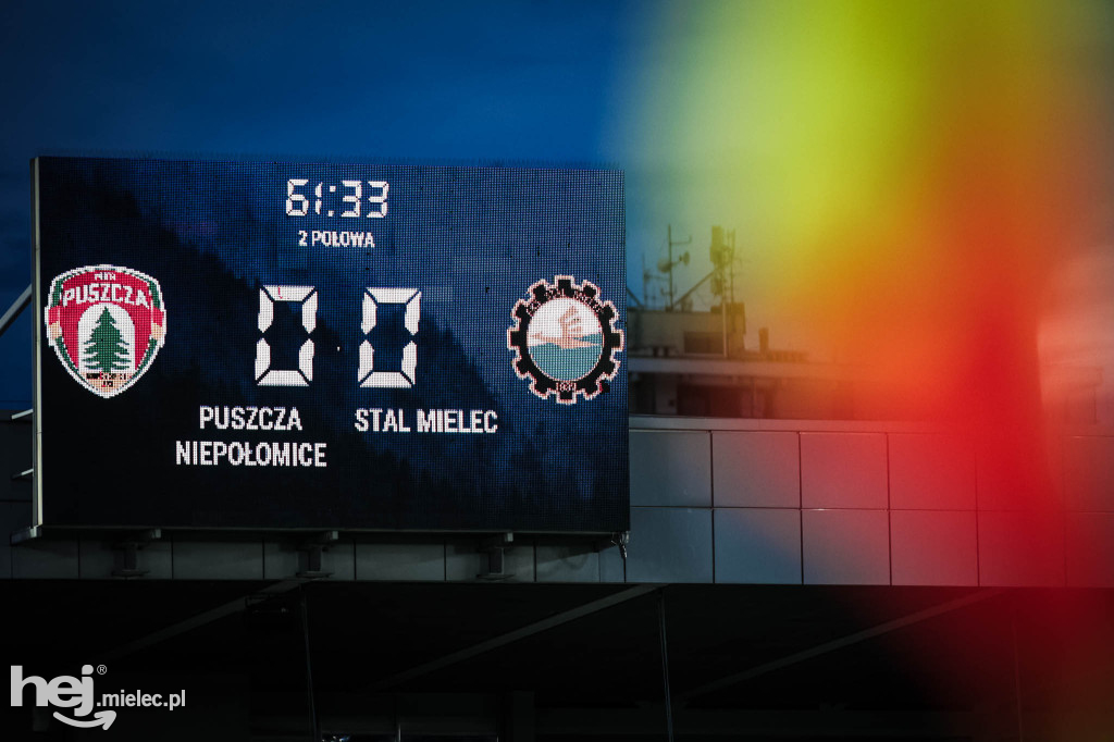 Puszcza Niepołomice - PGE FKS Stal Mielec