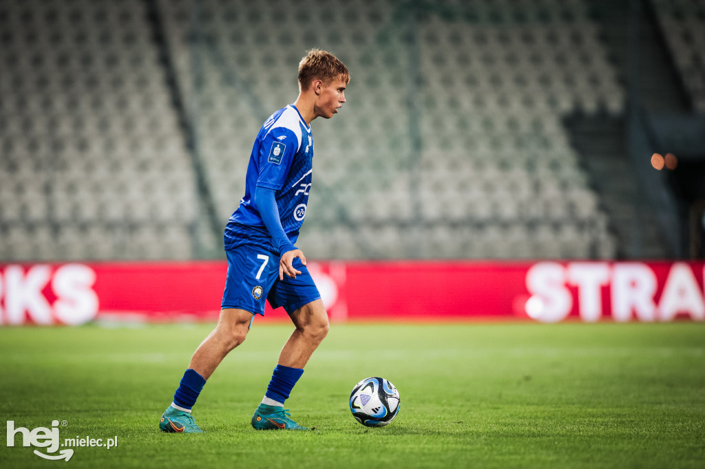 Puszcza Niepołomice - PGE FKS Stal Mielec