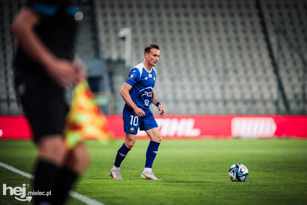 Puszcza Niepołomice - PGE FKS Stal Mielec