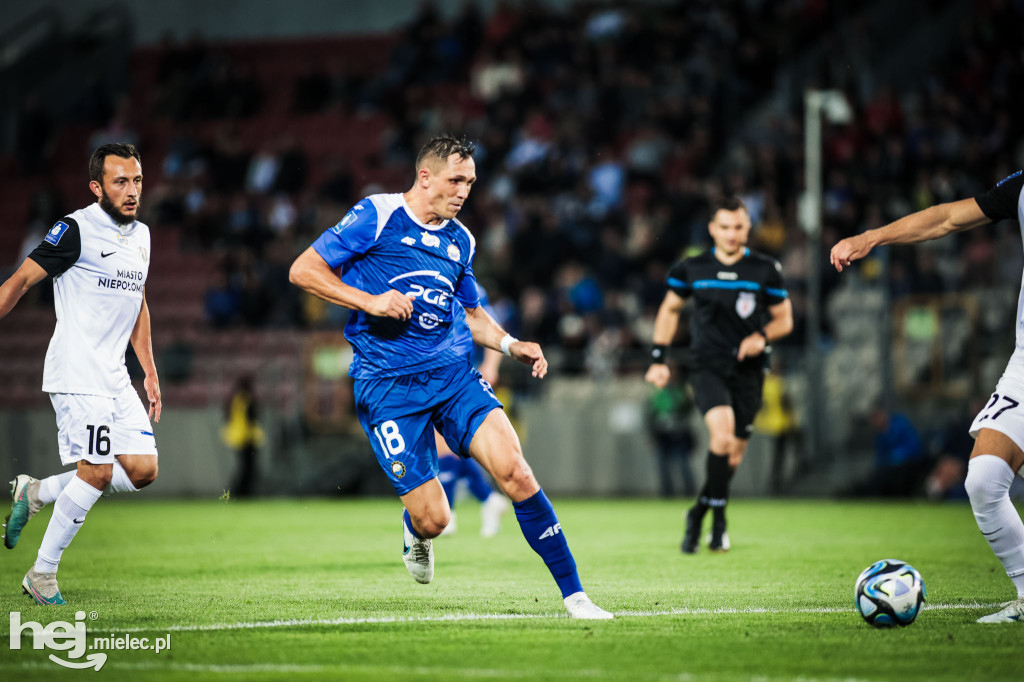 Puszcza Niepołomice - PGE FKS Stal Mielec