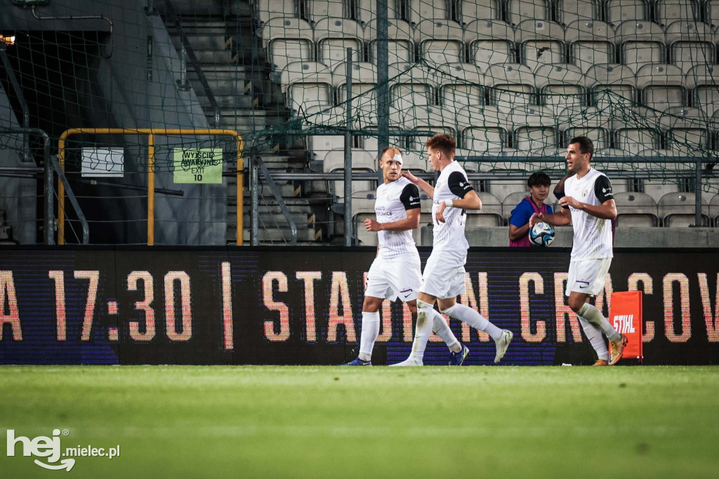 Puszcza Niepołomice - PGE FKS Stal Mielec