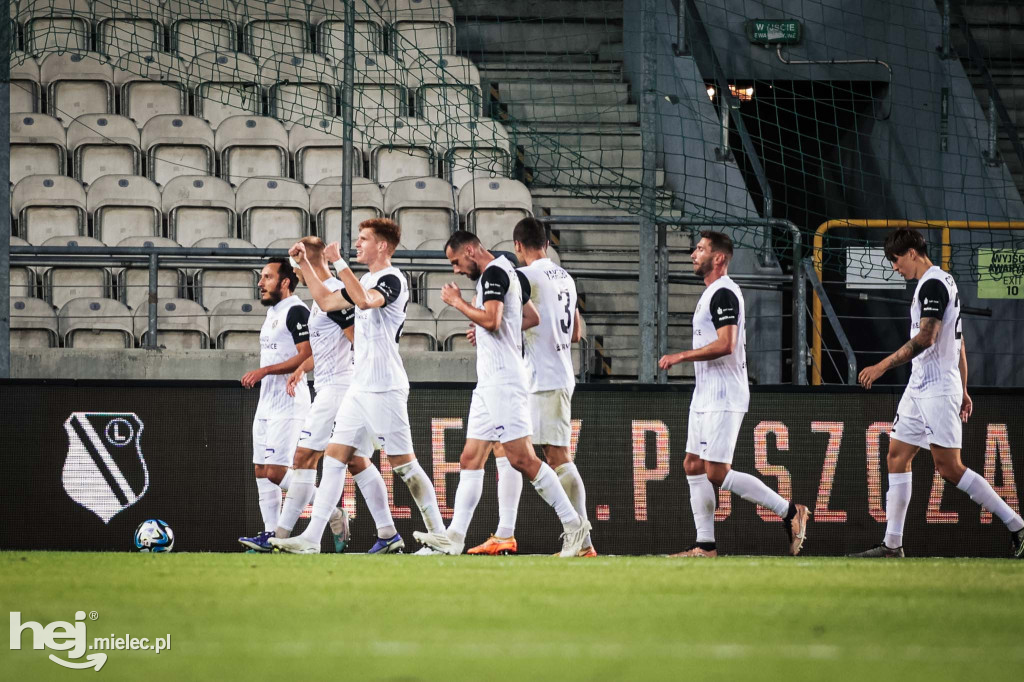 Puszcza Niepołomice - PGE FKS Stal Mielec