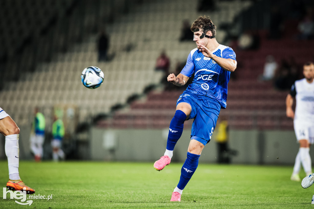 Puszcza Niepołomice - PGE FKS Stal Mielec
