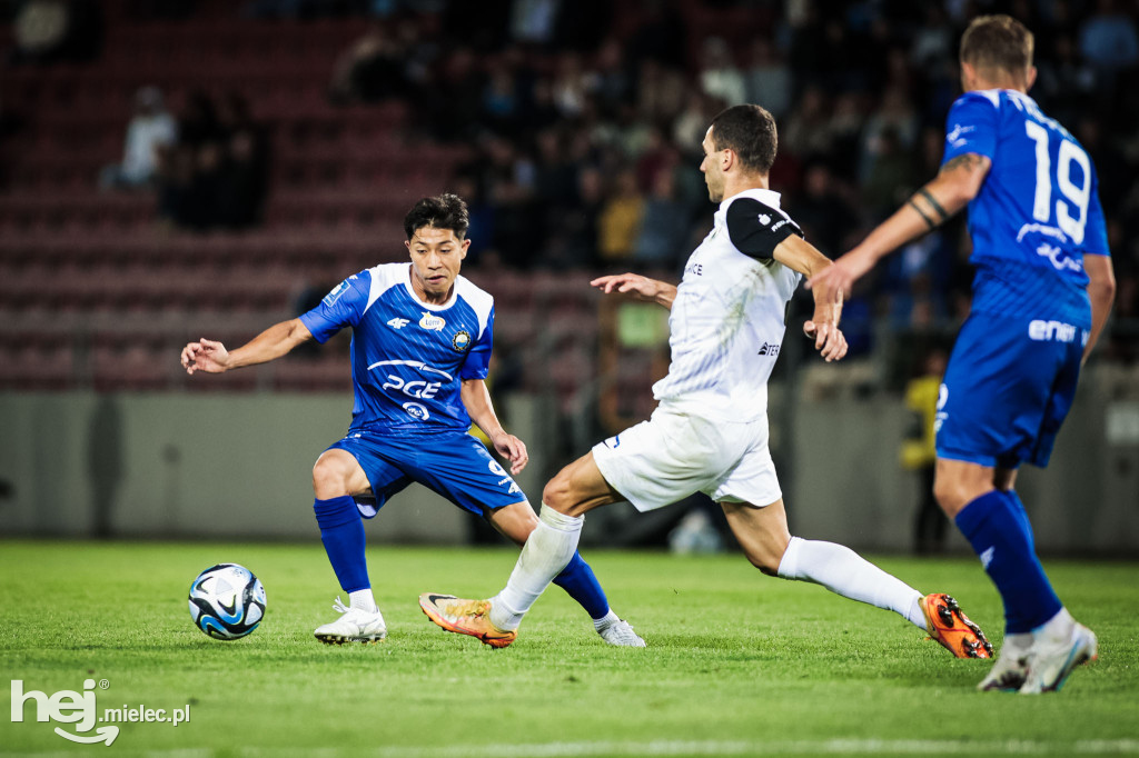Puszcza Niepołomice - PGE FKS Stal Mielec