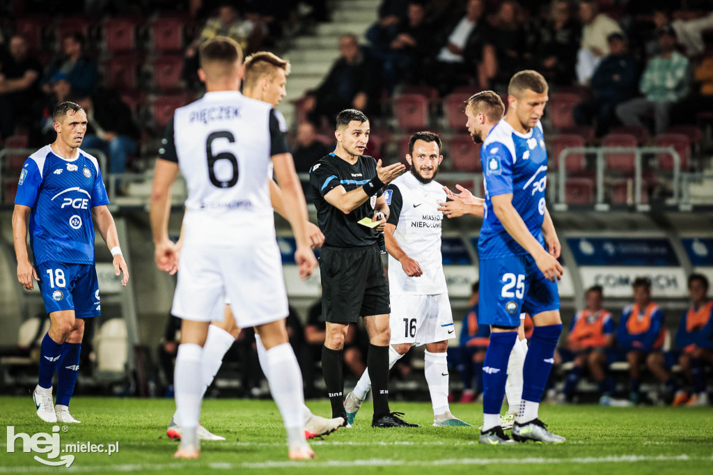 Puszcza Niepołomice - PGE FKS Stal Mielec