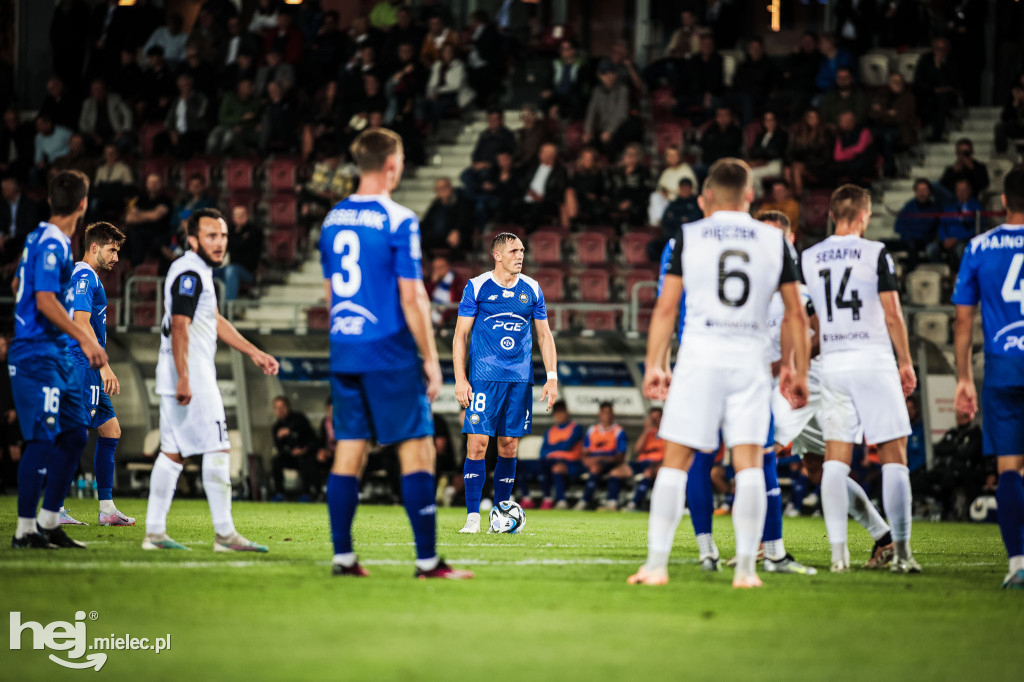 Puszcza Niepołomice - PGE FKS Stal Mielec