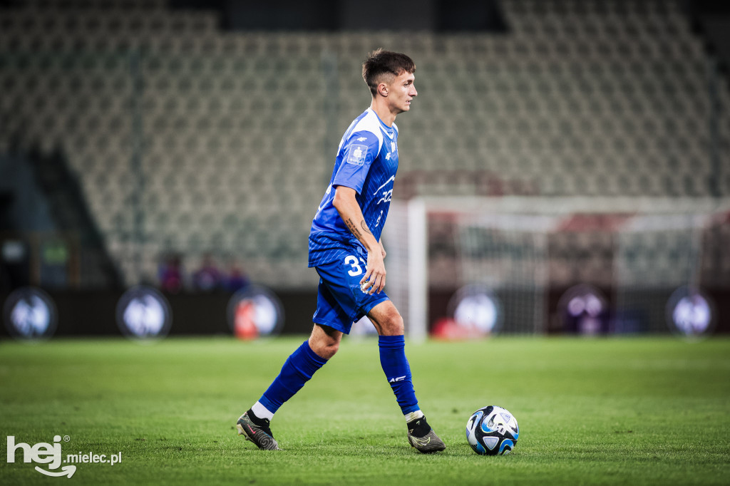 Puszcza Niepołomice - PGE FKS Stal Mielec