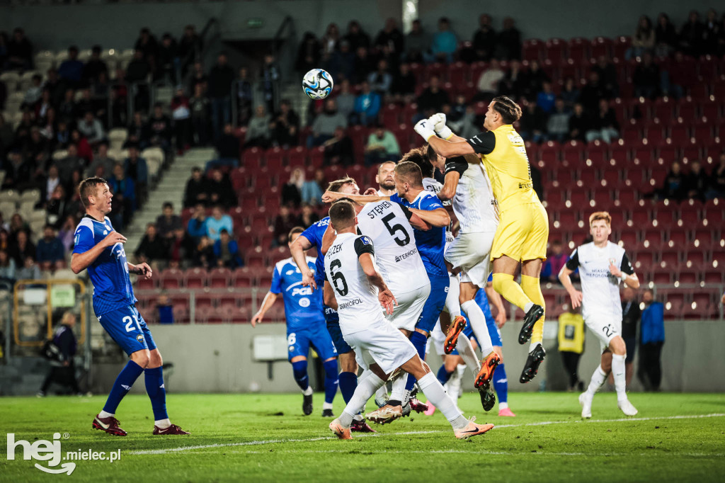 Puszcza Niepołomice - PGE FKS Stal Mielec