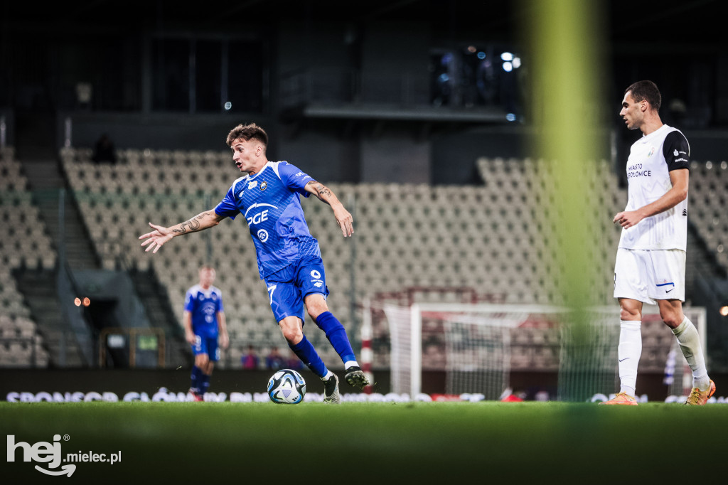 Puszcza Niepołomice - PGE FKS Stal Mielec