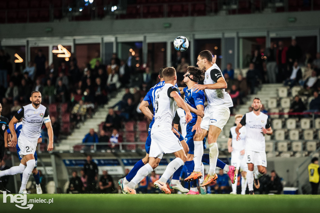 Puszcza Niepołomice - PGE FKS Stal Mielec