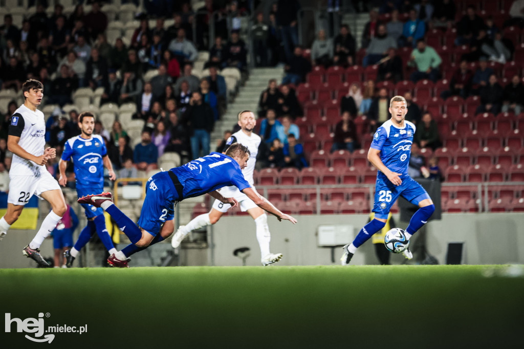 Puszcza Niepołomice - PGE FKS Stal Mielec
