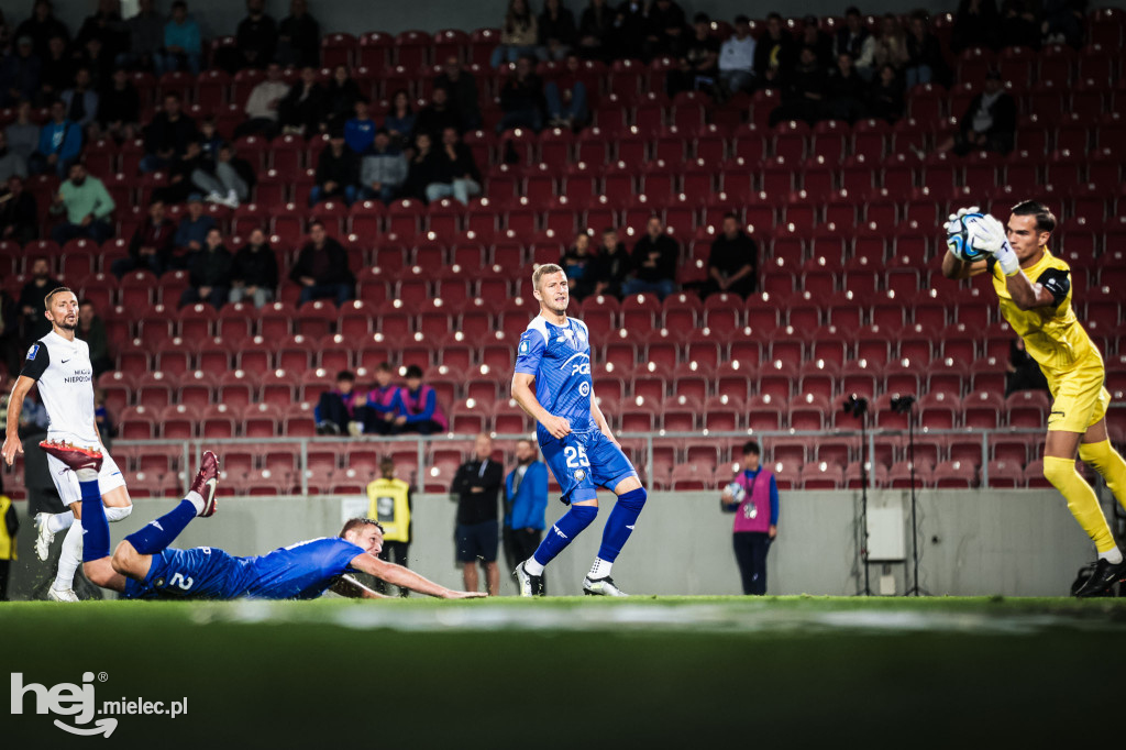 Puszcza Niepołomice - PGE FKS Stal Mielec