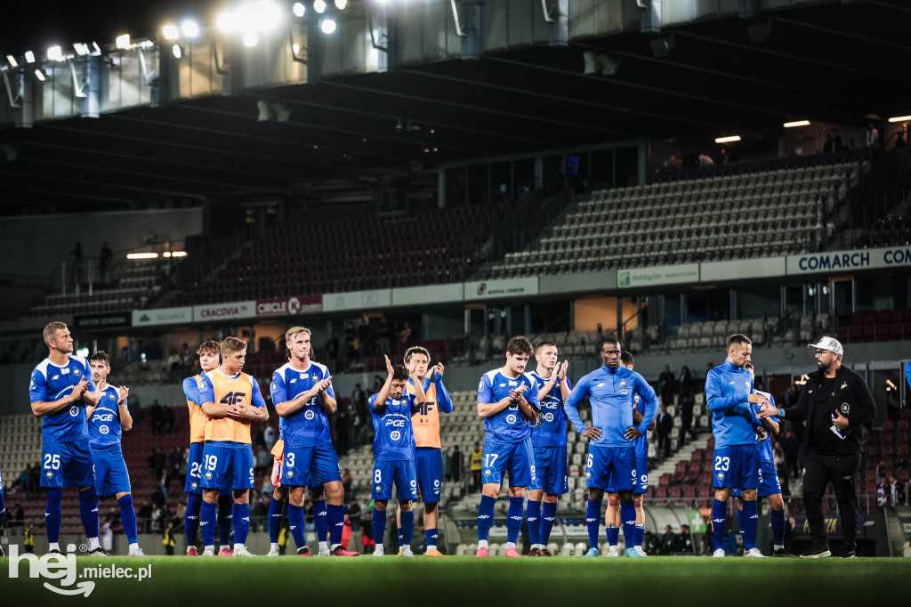 Puszcza Niepołomice - PGE FKS Stal Mielec