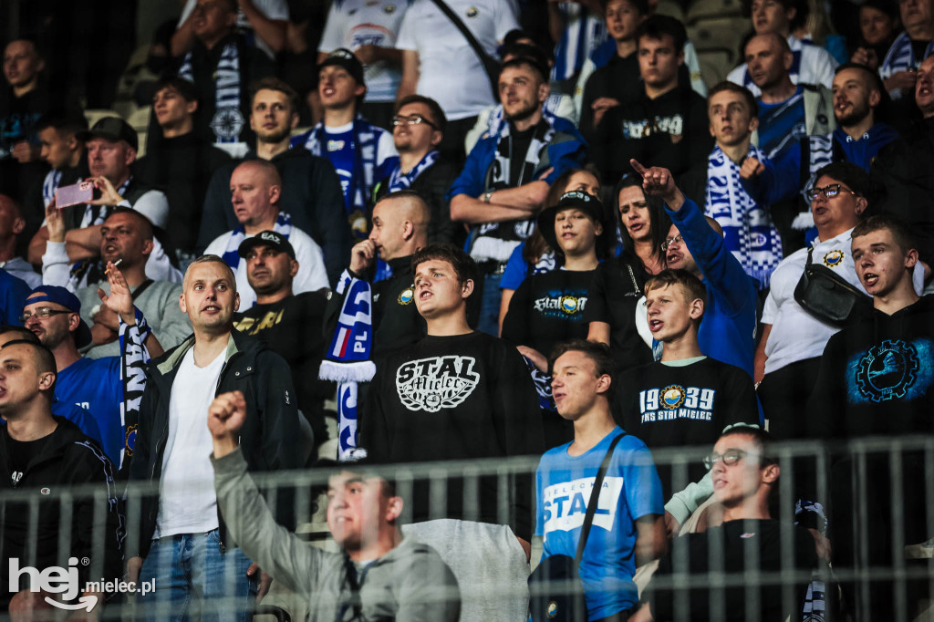 Puszcza Niepołomice - PGE FKS Stal Mielec