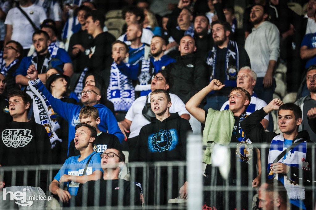 Puszcza Niepołomice - PGE FKS Stal Mielec