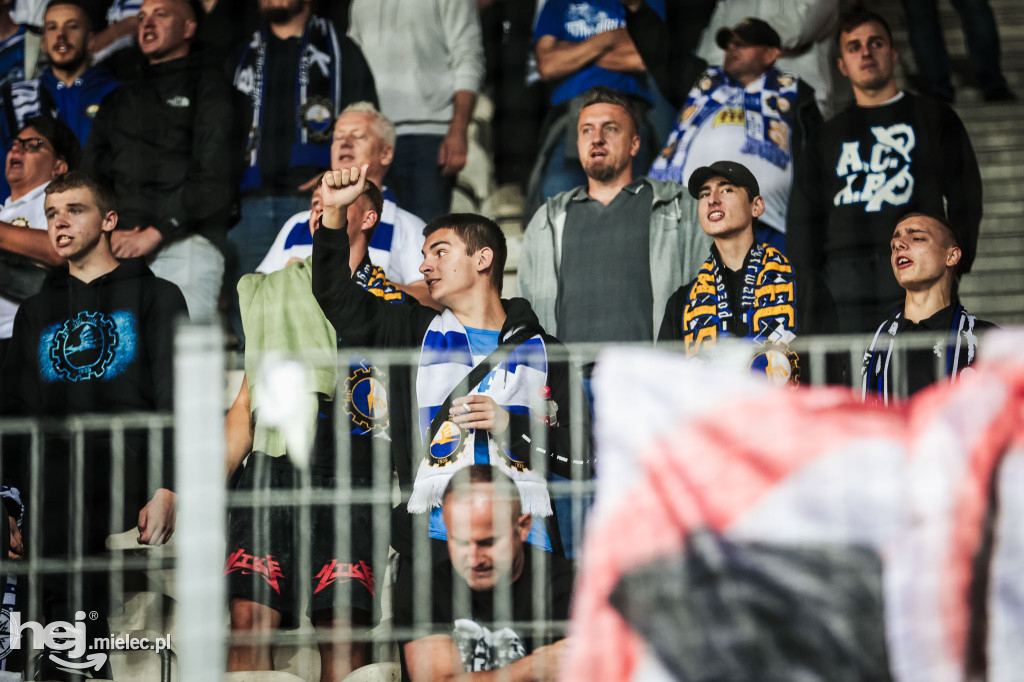 Puszcza Niepołomice - PGE FKS Stal Mielec