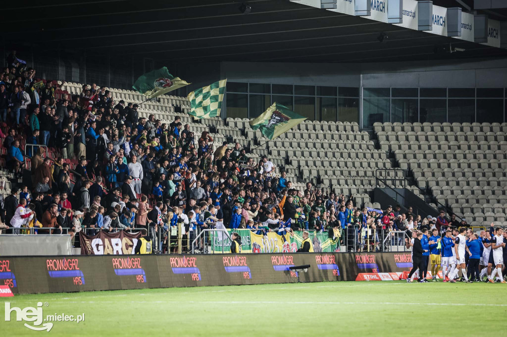 Puszcza Niepołomice - PGE FKS Stal Mielec