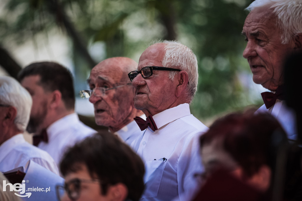 Muzyczny wieczorek w Parku Lachmana
