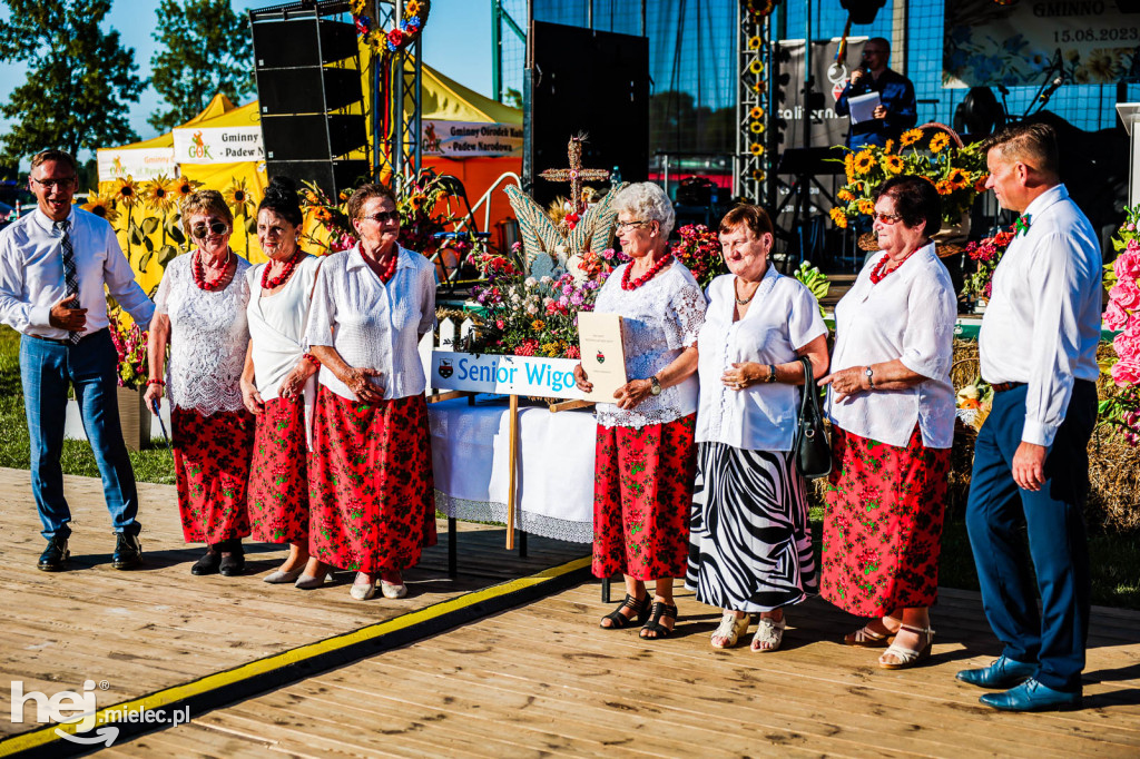 Dożynki gminy Padew Narodowa w Piechotach